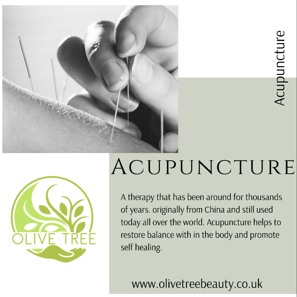 Acupuncture Traditional Chinese Medicine Olive Tree